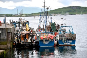 Fishing Boats in Oban